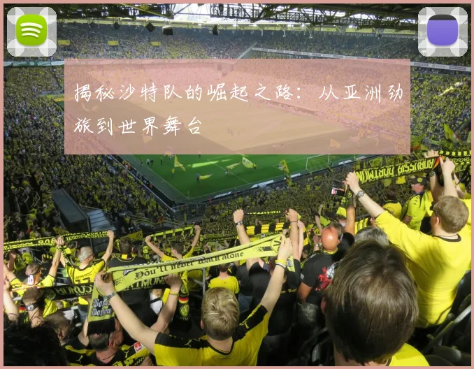 揭秘沙特队的崛起之路：从亚洲劲旅到世界舞台